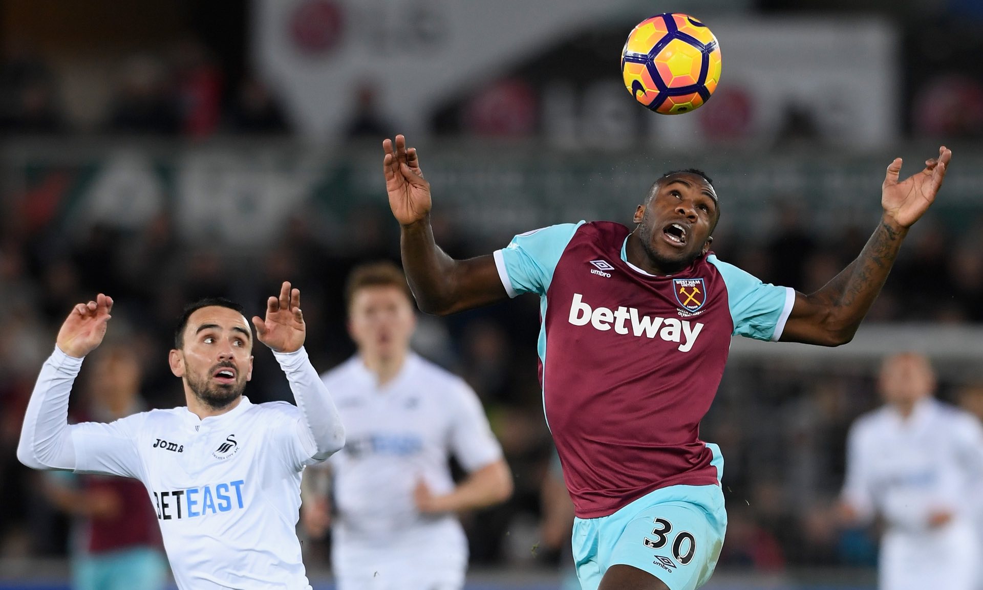 它可以是一 它可以是一